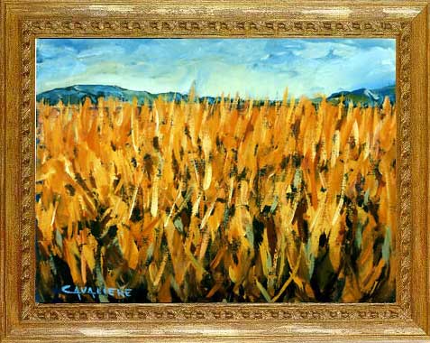 Campo di grano